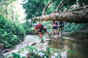 BIB: 
                            <button type="button" onclick="openModal(25435814)" class="btn btn-primary btn-sm float-right btn-popup" data-toggle="modal" data-target=".modal-high-quality">
                        <i class="fas fa-shopping-cart"></i> Add to Cart
                    </button>
                                            <button type="button" onclick="isThisMe(25435814, true)" class="btn btn-success btn-sm float-right btn-popup btn-isme hidden" data-toggle="tooltip" data-placement="bottom" title="นี่คือรูปของคุณใช่ไหม คลิกที่นี่เพื่อเอาเข้าอัลบั้ม">
                        <i class="fas fa-plus"></i> Add to album
                    </button>
                    <button type="button" onclick="isThisMe(25435814, false)" class="btn btn-warning btn-sm float-right btn-popup btn-isnotme hidden">
                        <i class="fas fa-ban"></i> Remove from album
                    </button>